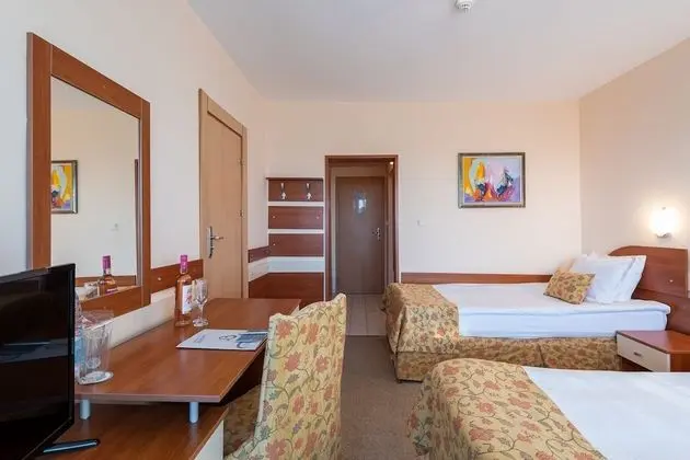 Standard Tek Büyük Yataklı Oda, Balkon (Park View)