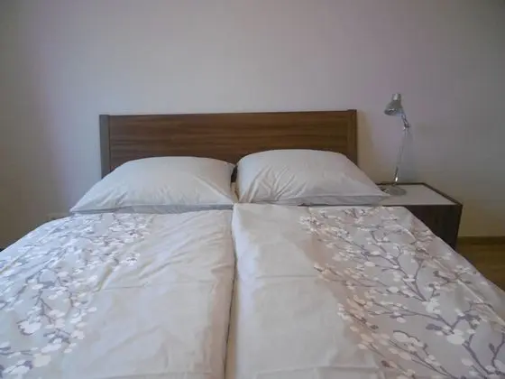 Deluxe Apart Daire, 1 Büyük (Queen) Boy Yatak, Sigara İçilmez, Mutfak