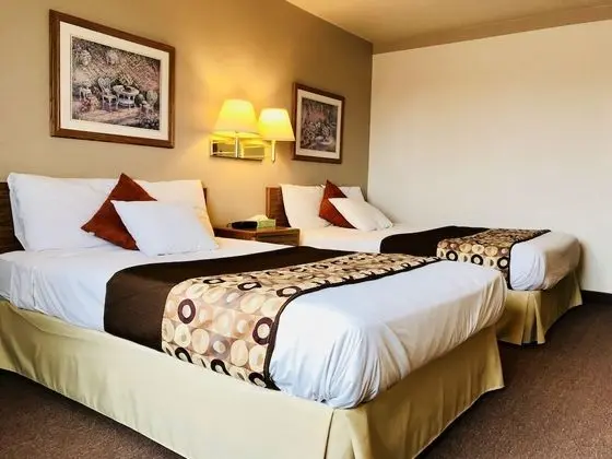 Basic Tek Kişilik Oda, 1 Büyük (Queen) Boy Yatak, Sigara İçilmez, Özel Banyo