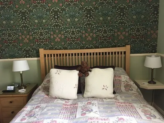 Traditional Tek Büyük Yataklı Oda, 1 Çift Kişilik Yatak, Dağ Manzaralı (Room 1)