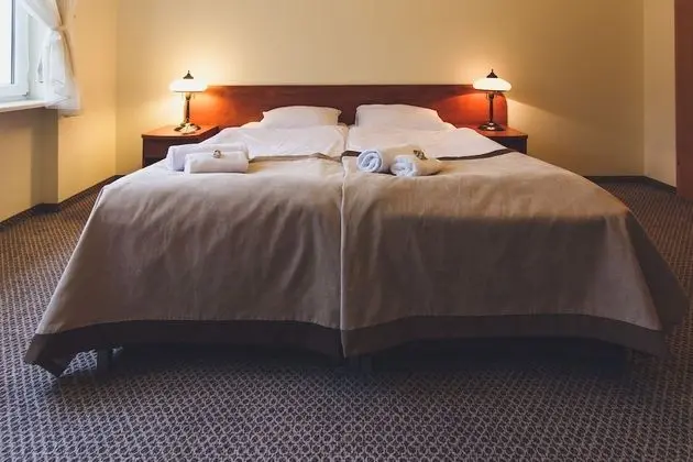 Standard Tek Büyük Yataklı Oda, 2 Tek Kişilik Yatak