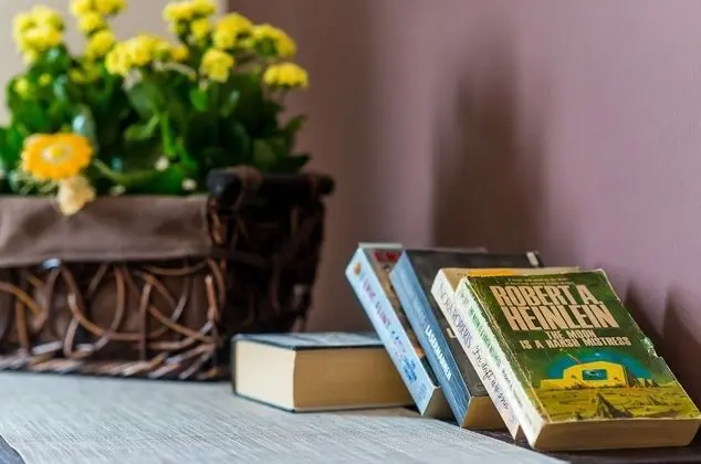 Basic Apart Daire, 1 Yatak Odası (2+1)