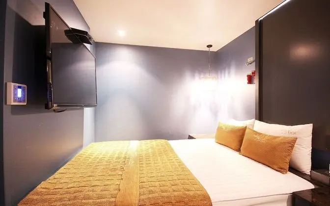 Oda (Standard MINI (walking special price )