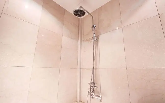 Oda (Standard MINI (walking special price )