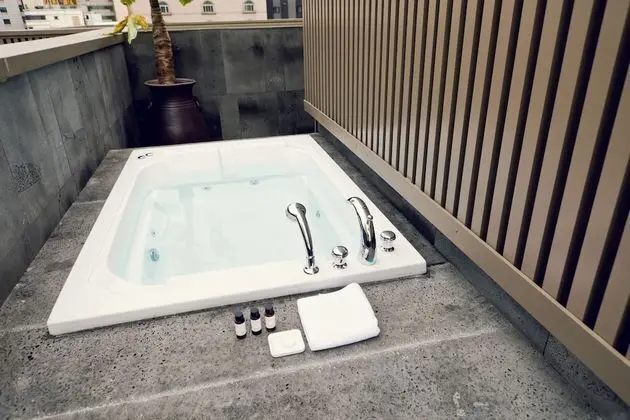Çatı Katı Süiti (Penthouse)