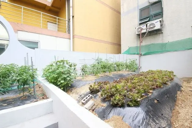 Oda (Penthouse (up to 12 people for 6 peop)