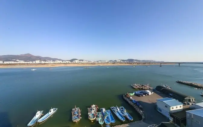 Oda (Full Ocean Canopy Premium (Netflix Ac)