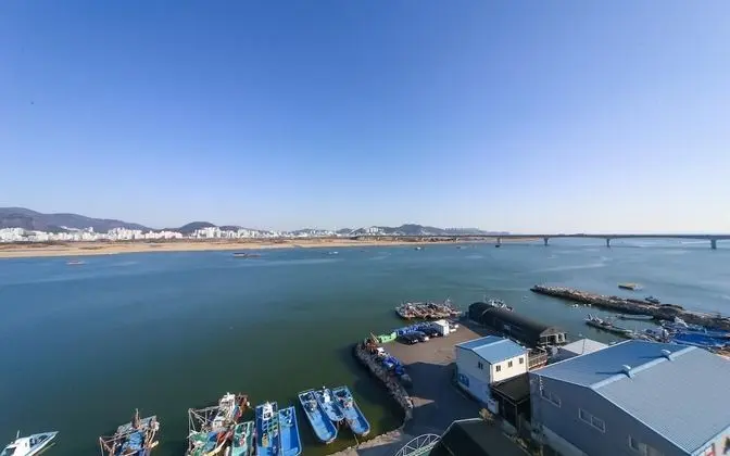 Oda (Full Ocean Canopy Premium (Netflix Ac)