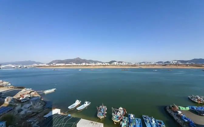 Oda (Full ocean repetitive deluxe (Netflix)