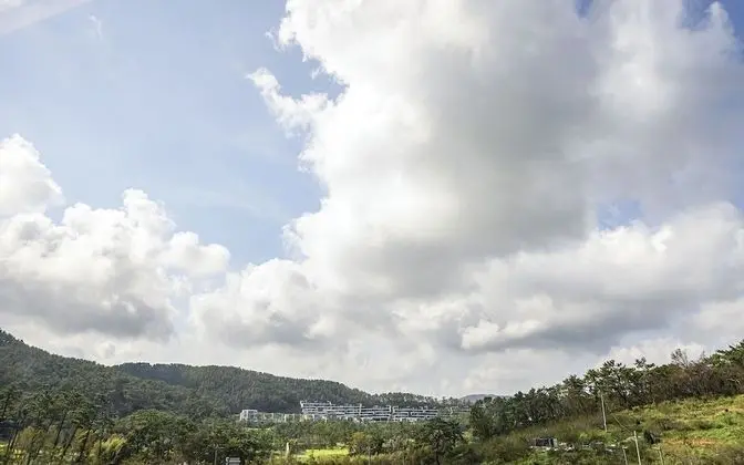 Oda (Standard A (Free Netflix + Free Break)