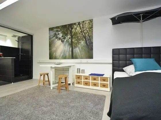 Apart Daire, Özel Banyo (Vivi)