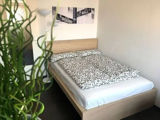 Basic Stüdyo
