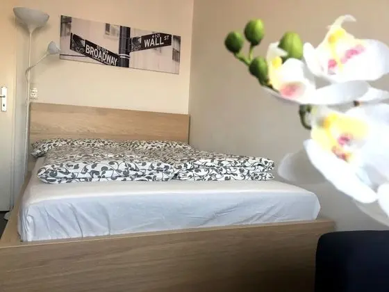 Basic Stüdyo
