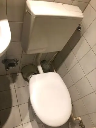 Basic Stüdyo