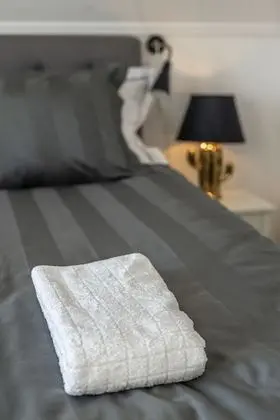 Business Tek Büyük Yataklı Oda, Bahçe Manzaralı (Söder)