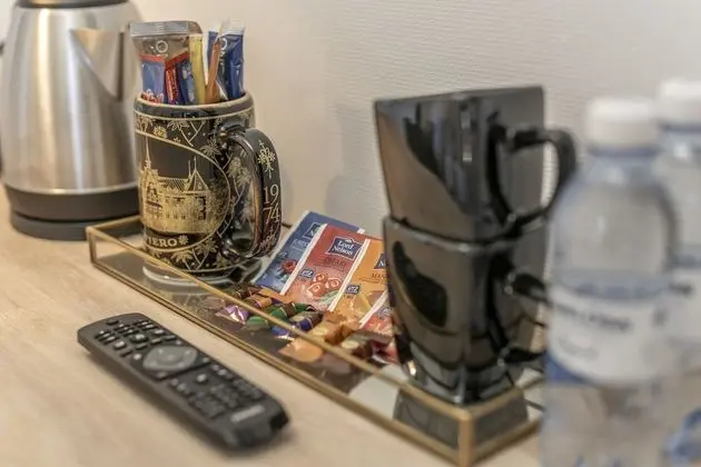 Business Tek Büyük Yataklı Oda, Park Manzaralı