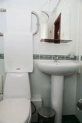 Business Tek Büyük Yataklı Oda, 1 Çift Kişilik Yatak