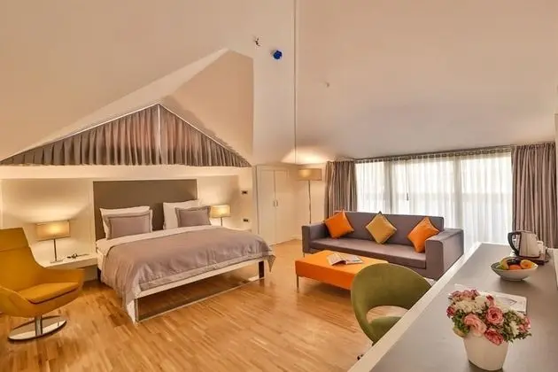 Executive Oda, Şehir Manzaralı, Balkonlu