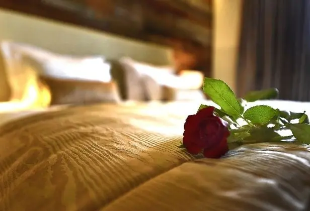 Basic Tek Büyük Yataklı Oda