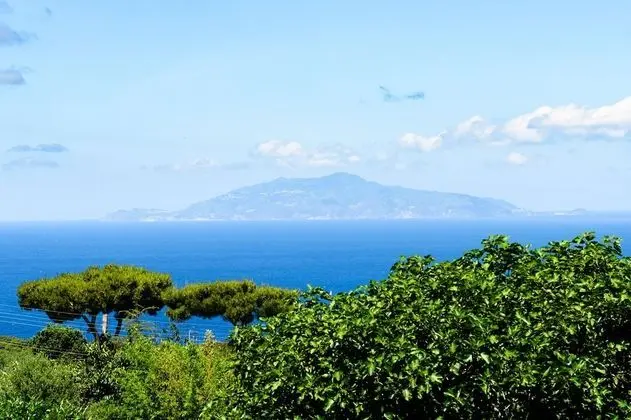 Üç Kişilik Oda, Balkon, Deniz Manzaralı