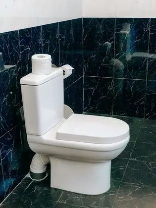 Standard Oda