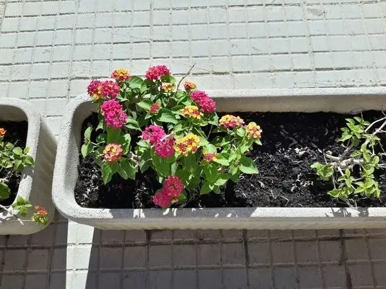 Tek Büyük veya İki Ayrı Yataklı Oda, Veranda (Turchese)