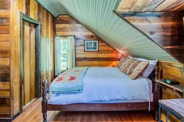 Standard Oda, Sigara İçilmez (Kristopher's Treehouse)