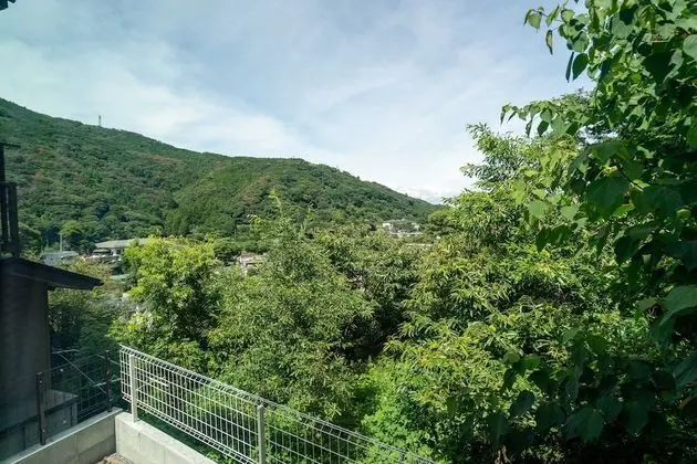Ev (Private Vacation Home, Deluxe)