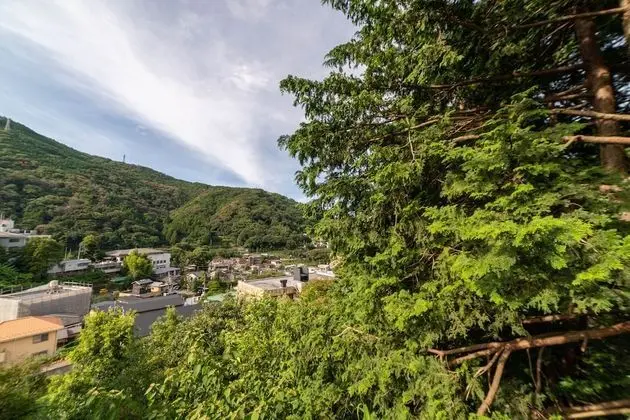 Ev (Private Vacation Home, Deluxe)