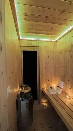 Luxury Süit, 1 Çift Kişilik Yatak, Sauna