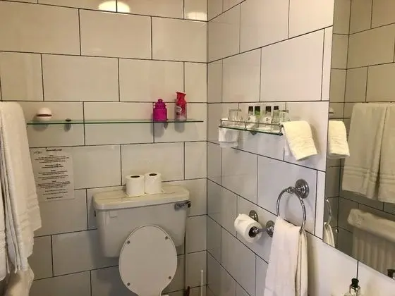 Superior Tek Büyük Yataklı Oda, Dağ Manzaralı