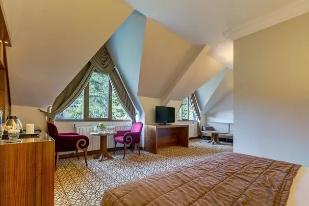 https://images.etstur.com/files/images/hotelImages/TR/51082/l/Buyuk-Abant-Oda-312316.jpg