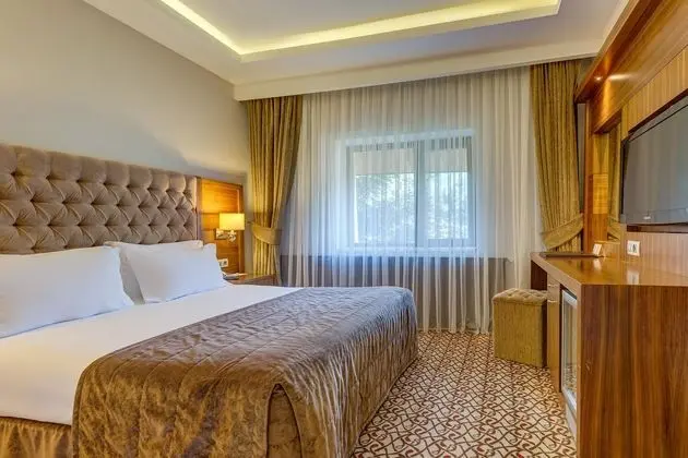 https://images.etstur.com/files/images/hotelImages/TR/51082/l/Buyuk-Abant-Oda-312505.jpg