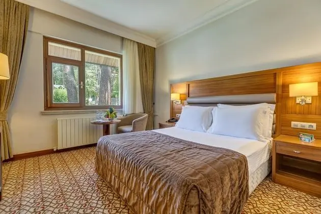 https://images.etstur.com/files/images/hotelImages/TR/51082/l/Buyuk-Abant-Oda-312513.jpg