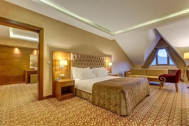 https://images.etstur.com/files/images/hotelImages/TR/51082/l/Buyuk-Abant-Oda-312518.jpg