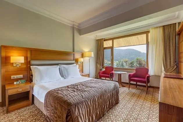 https://images.etstur.com/files/images/hotelImages/TR/51082/l/Buyuk-Abant-Oda-312525.jpg