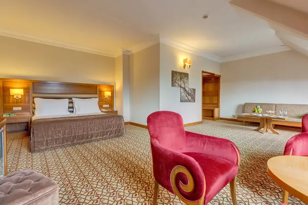 Deluxe Oda Orman Tarafı