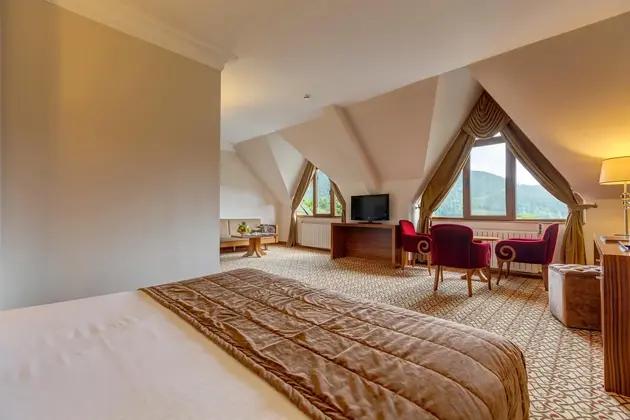 Deluxe Oda Orman Tarafı