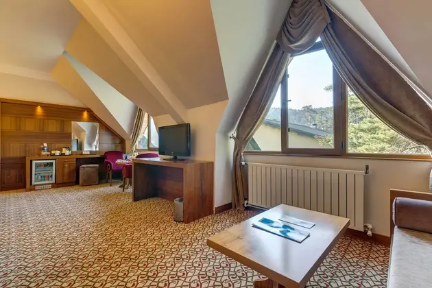 Deluxe Oda Orman Tarafı