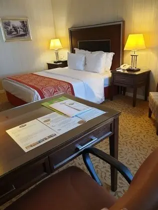 Deluxe Tek Büyük Yataklı Oda