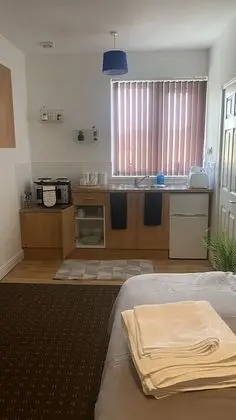 Classic Stüdyo, Banyolu/Duşlu (Free Private Parking )