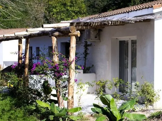 Classic Tek Kişilik Oda, Bahçe Manzaralı