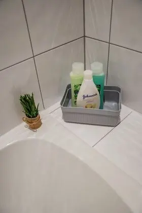 Classic Apart Daire, Engellilere Uygun, Banyolu/Duşlu (Lush)