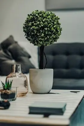Luxury Ev, Engellilere Uygun, Banyolu/Duşlu (Rare Modern TownHouse )