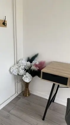 Ev, Engellilere Uygun, Özel Banyo (Garden)