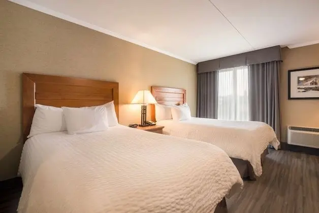 Standard Oda, 2 Çift Kişilik Yatak, Sigara İçilmez, Zemin Kat (Pet Friendly)