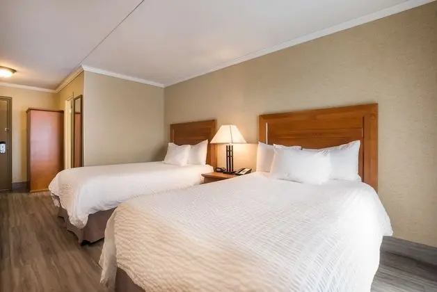 Standard Oda, 2 Çift Kişilik Yatak, Sigara İçilmez, Zemin Kat (Pet Friendly)