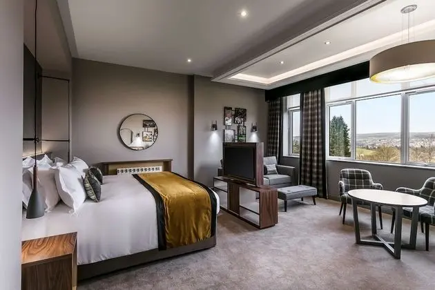 Süit, 1 En Büyük (King) Boy Yatak, Sigara İçilmez, Buzdolabı