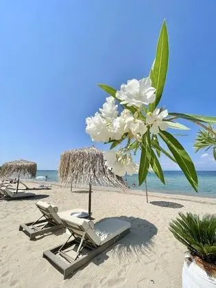 Villa, 4 Yatak Odası