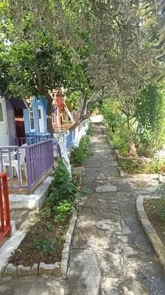 Bungalow, Havuz Manzaralı